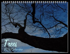 trees photograph 2012 photography calendar by rosemary wessell