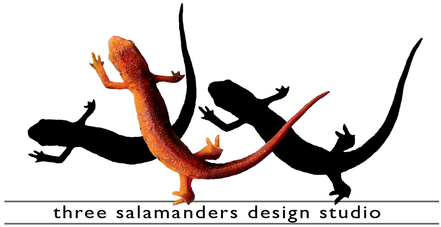 three salamanders graphic design video editing and consulting